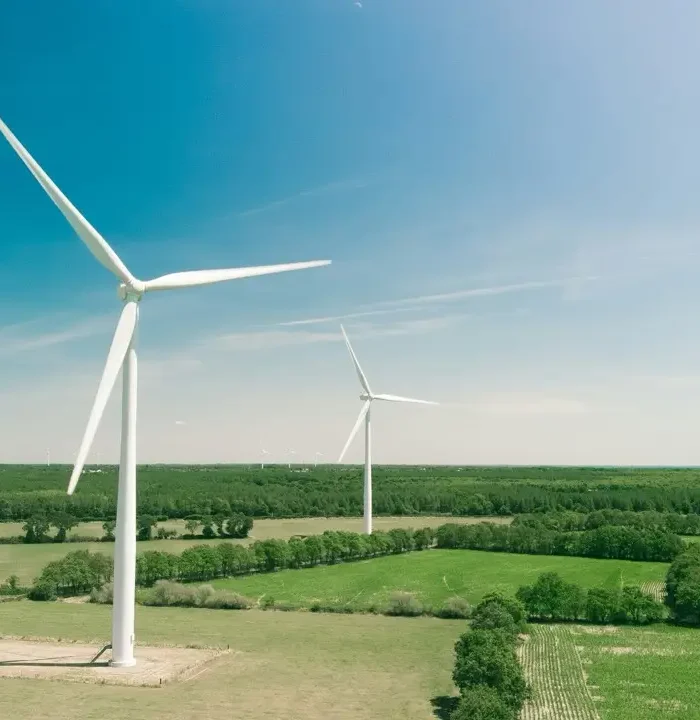 Éolienne Large